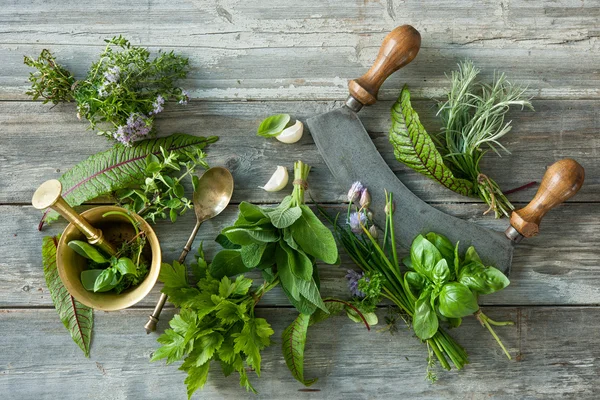Hierbas frescas y especias en la mesa de madera —  Fotos de Stock