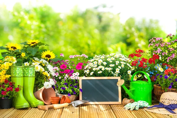 Ogrodnictwo narzędzia i kwiatki na tarasie i — Zdjęcie stockowe