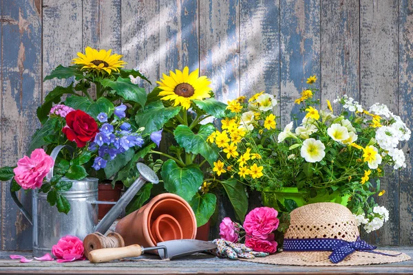 Ferramentas de jardinagem e flores no terraço — Fotografia de Stock