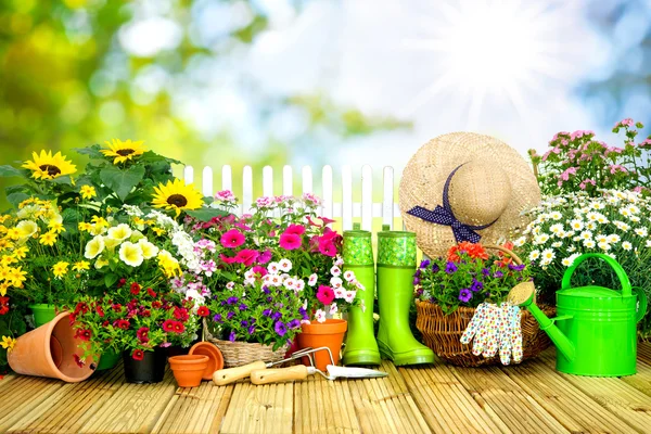 Gardening tools and flowers on the terrace i — Stock Photo, Image