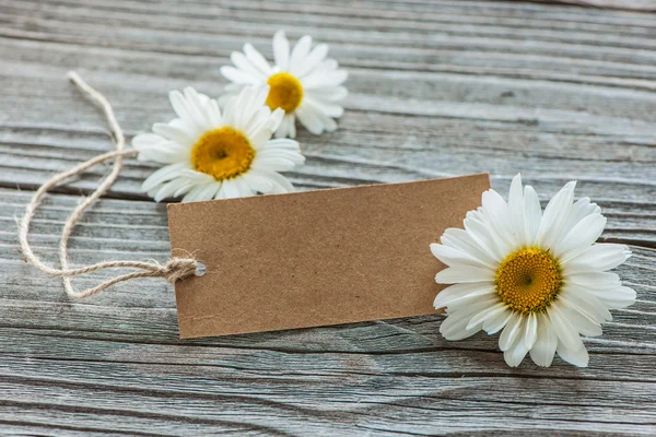 Flores Margarida com uma etiqueta vintage — Fotografia de Stock