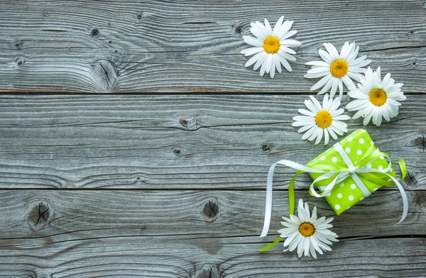 Daisy flowers on wooden background — Stock Photo, Image