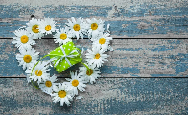 Daisy flowers on wooden background — Stock Photo, Image