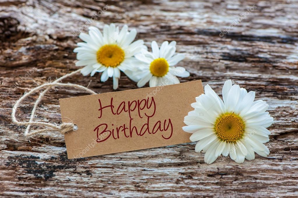 Daisy flowers with a tag Happy Birthday — Stock Photo © alexraths ...