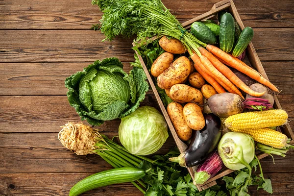 Taze sebze çeşitleri