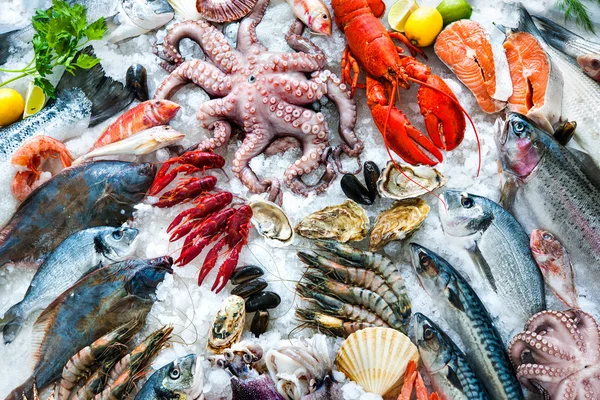 Frutti di mare su ghiaccio — Foto Stock