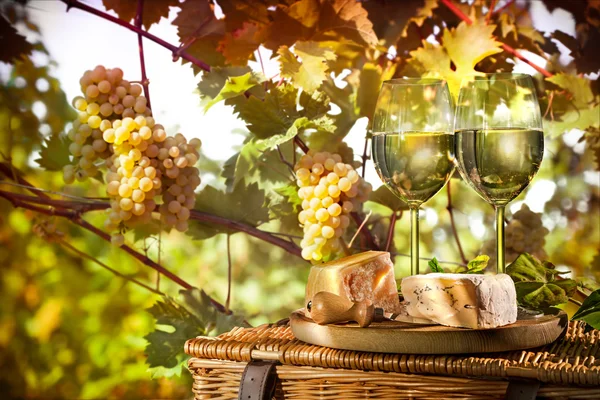 Vino, Uva e Formaggi — Foto Stock