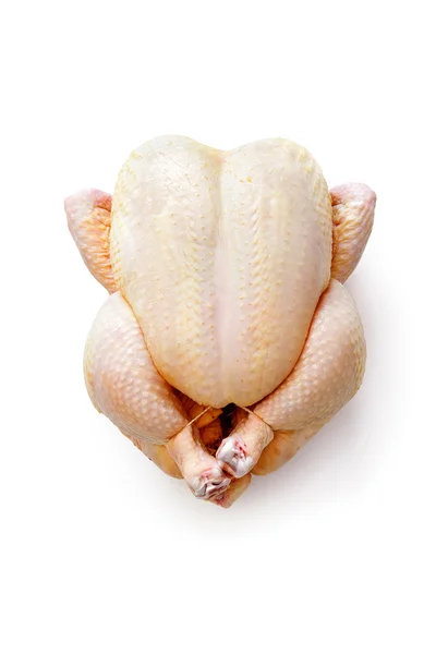 Poulet cru isolé — Photo