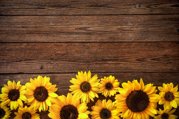 Słoneczniki na drewnianym tle — Zdjęcie stockowe