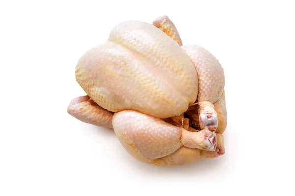 Pollo crudo aislado —  Fotos de Stock
