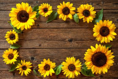 ahşap arka planda ayçiçekleri