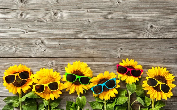 Sonnenblumen mit Sonnenbrille — Stockfoto