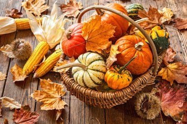 Sonbahar natürmort pumpkins, corncobs ve yaprakları ile