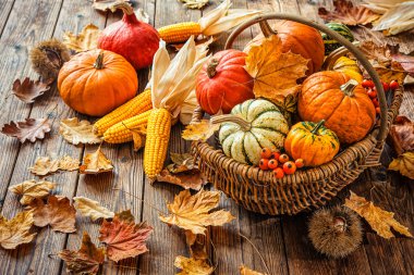 Sonbahar natürmort pumpkins, corncobs ve yaprakları ile