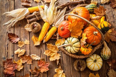 Sonbahar natürmort pumpkins, corncobs ve yaprakları ile