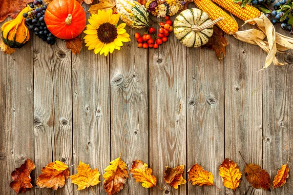 Barevné pozadí pro Halloween a díkůvzdání — Stock fotografie