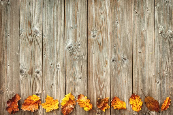 Decoração de outono arranjado com licença seca — Fotografia de Stock