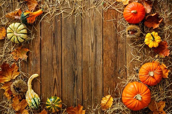 Fondo de cosecha o Acción de Gracias con calabazas y paja — Foto de Stock