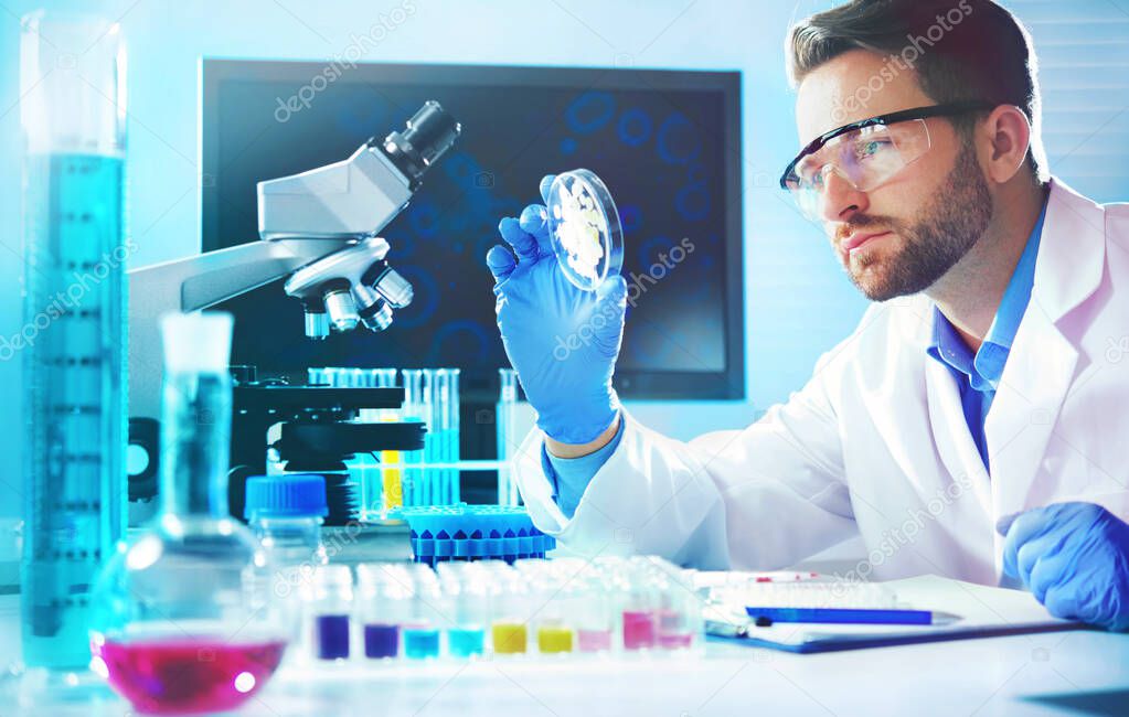 Male medical doctor or biotechnology research scientist working in the laboratory