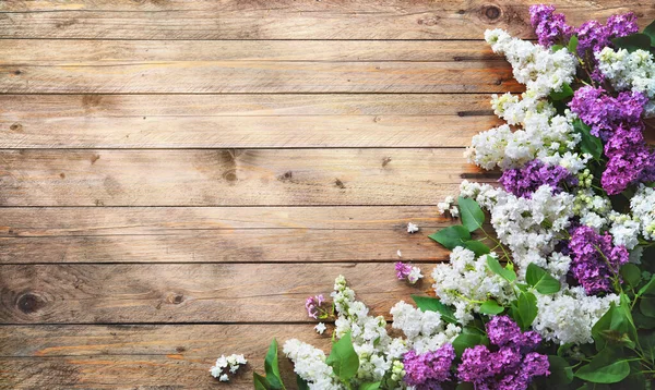 Blühende Lila Und Weiße Fliederblüten Syringa Vulgaris Auf Rustikalem Holzgrund — Stockfoto