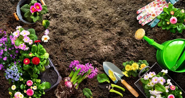 Vysazování Jarních Květin Zahradě Zahradní Nářadí Květiny Půdě Koncept Zahradnictví — Stock fotografie