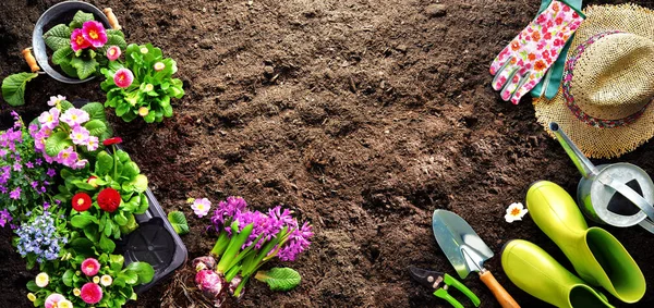 在花园里种满了春花 在土壤上种植工具和花卉 园艺和园艺概念 — 图库照片