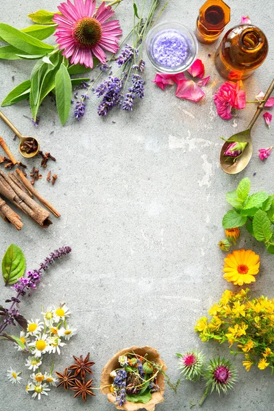 Plantas Ervas Ingredientes Cosméticos Naturais Caseiros Produtos Beleza Orgânica Mesa — Fotografia de Stock