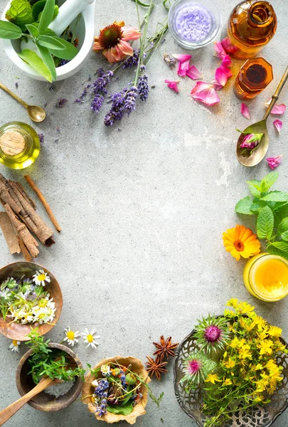 Plantas Ervas Ingredientes Cosméticos Naturais Caseiros Produtos Beleza Orgânica Mesa — Fotografia de Stock