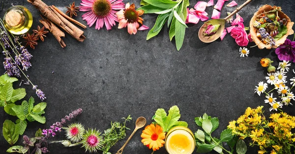 Kräuterpflanzen Zutaten Und Hausgemachte Naturkosmetik Auf Rustikalem Steintisch Mit Kopierraum — Stockfoto