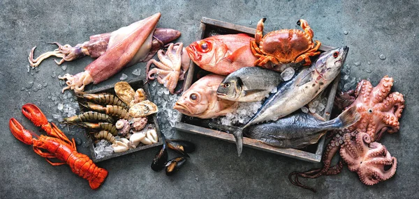 Vangst Van Verse Vis Zeevruchten Met Ijs Voorraad Bovenaanzicht — Stockfoto