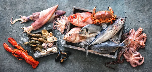 Captura Peixe Fresco Frutos Mar Com Gelo Loja Vista Superior — Fotografia de Stock