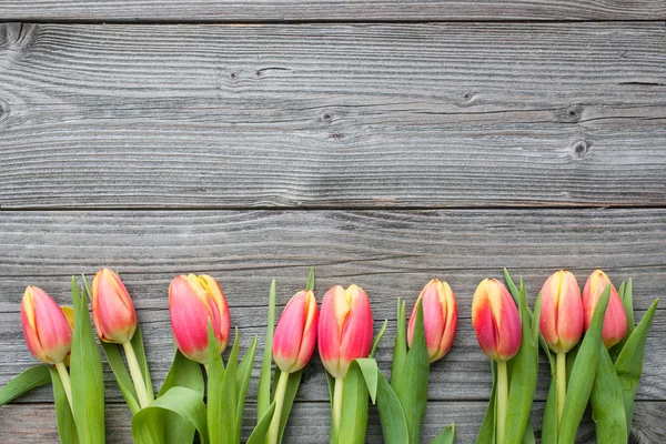 Fresh tulips arranged on old wooden backgroun — Stock Photo, Image