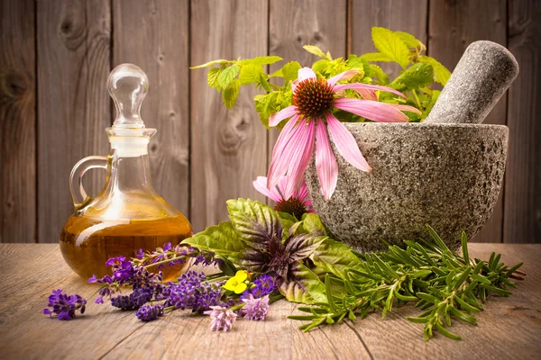 Healing herbs — Stock Photo, Image