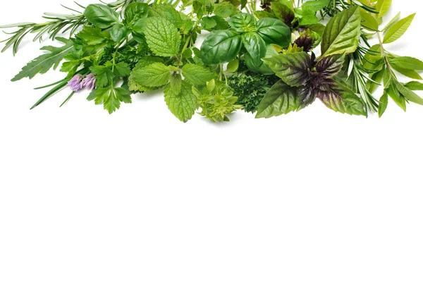Ervas aromáticas frescas — Fotografia de Stock