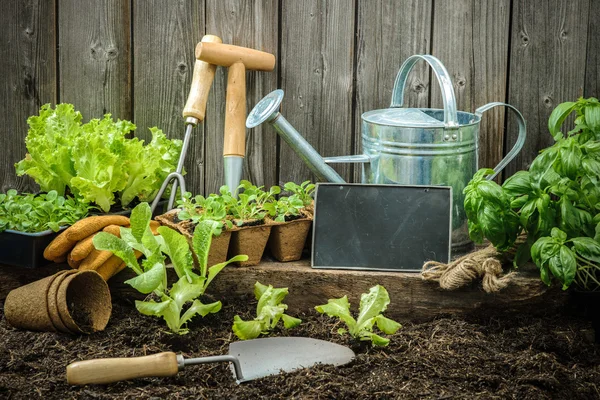 Jardinería — Foto de Stock