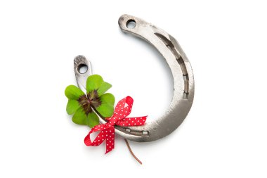 Horseshoes and clover with four leaf clipart