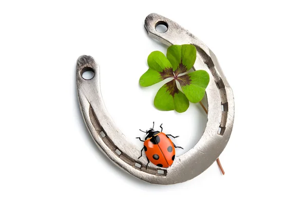 Horseshoes and clover with four leaf — Stock Photo, Image