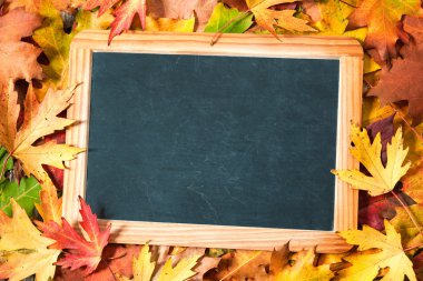 Sonbahar yaprakları kara tahta