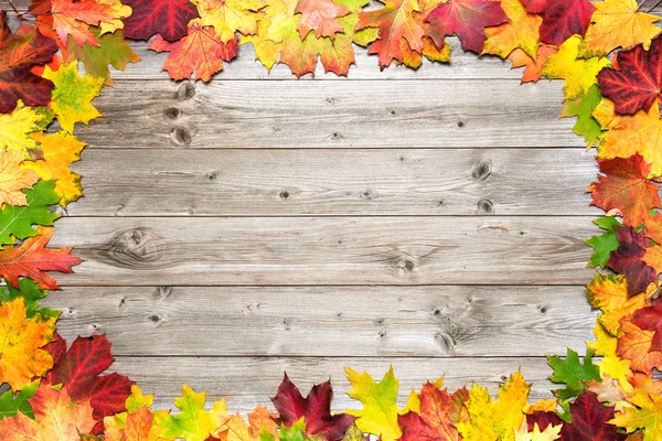 Autumn background with colored leaves — Stock Photo, Image