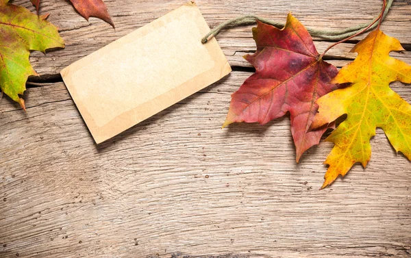 Étiquette de vente avec feuilles d'érable — Photo