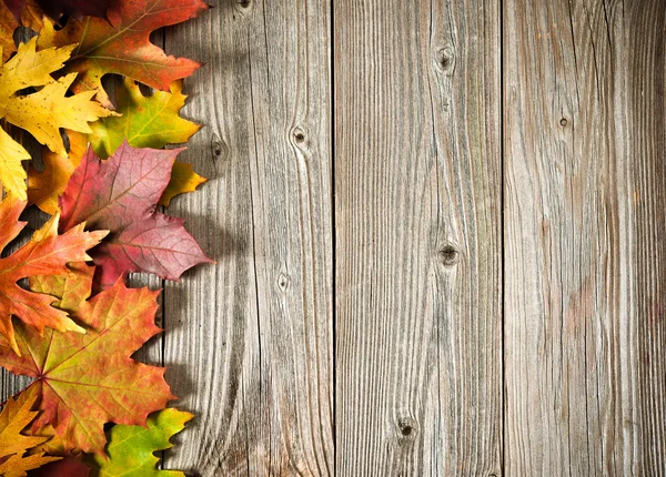 Höstens bakgrund med färgade blad — Stockfoto