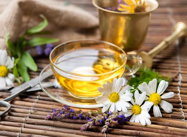 Cup of herbal tea — Stock Photo, Image