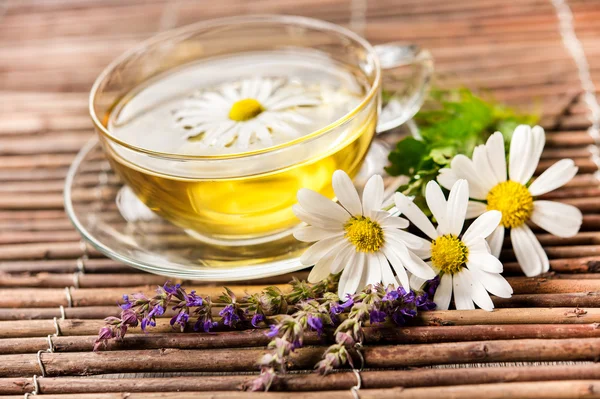 Cup of herbal tea — Stock Photo, Image