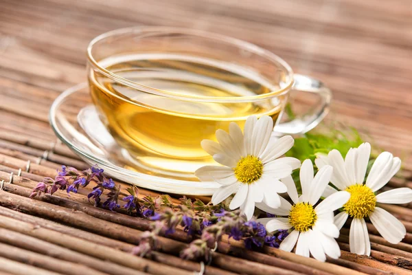 Cup of herbal tea — Stock Photo, Image