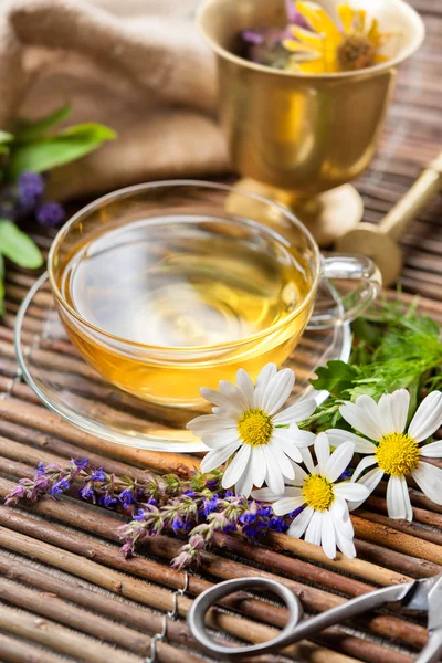 Cup of herbal tea — Stock Photo, Image