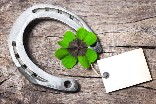 Horseshoe and four leaf clover — Stok fotoğraf