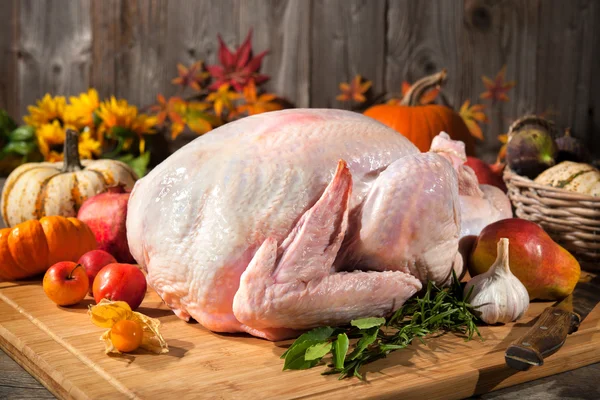 Thanksgiving kalkoen — Stockfoto