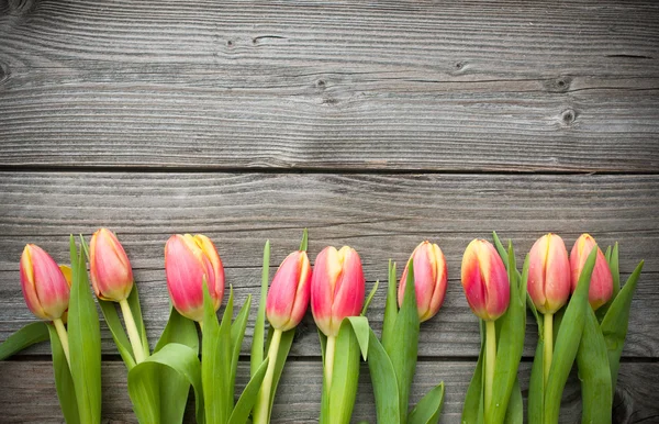 Fresh tulips arranged on old wooden background — Stock Photo, Image