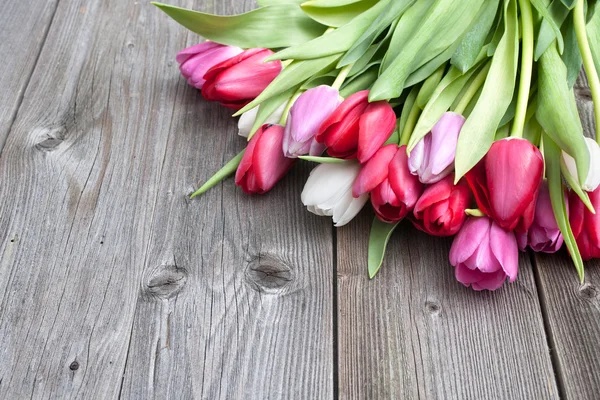 Tulipanes frescos sobre fondo de madera — Foto de Stock
