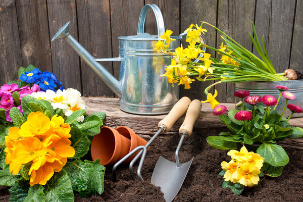 Садоводство